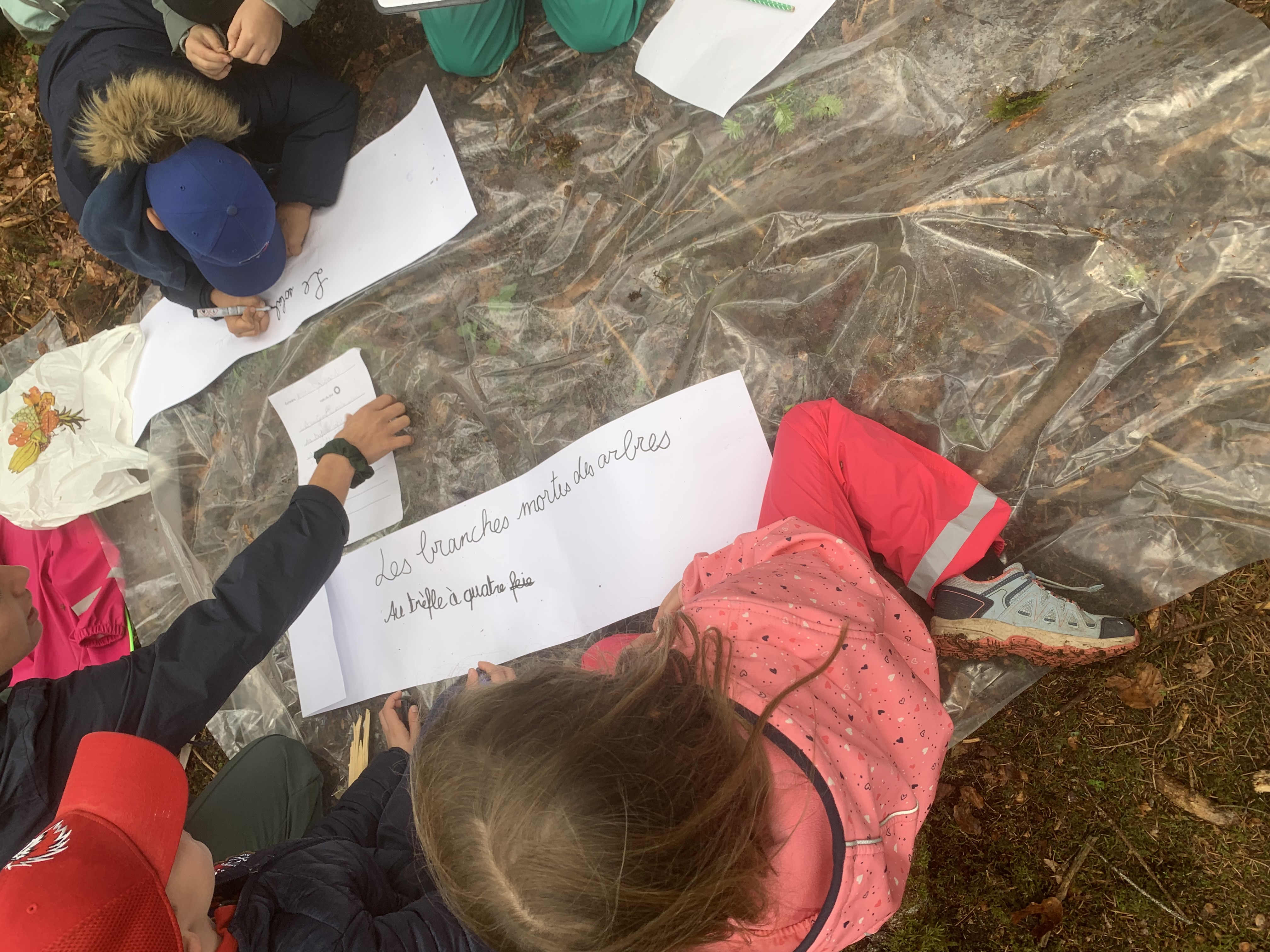 Ecole en forêt - soutenu par le WWF